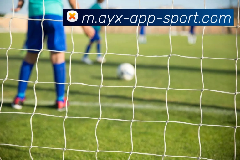 爱游戏平台生态图