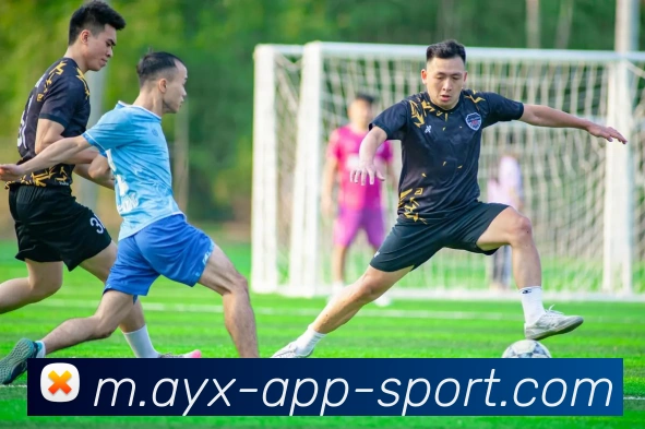 爱游戏APP 封面图